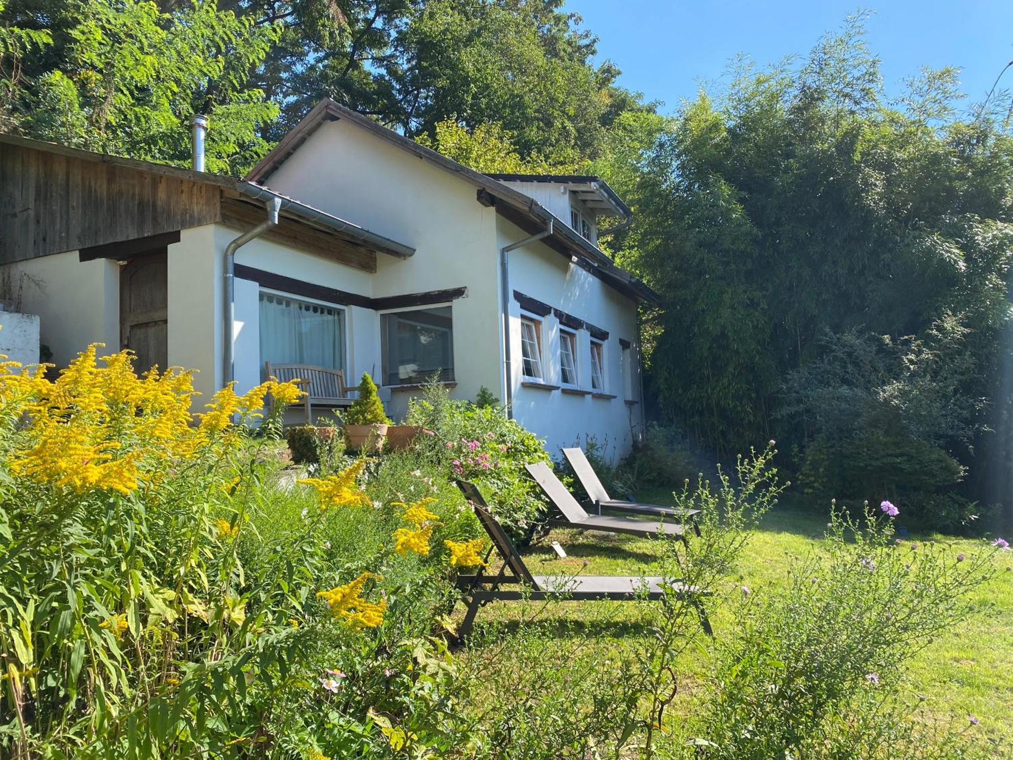 La Villa des Oiseaux - La Petite Pierre Extérieur photo