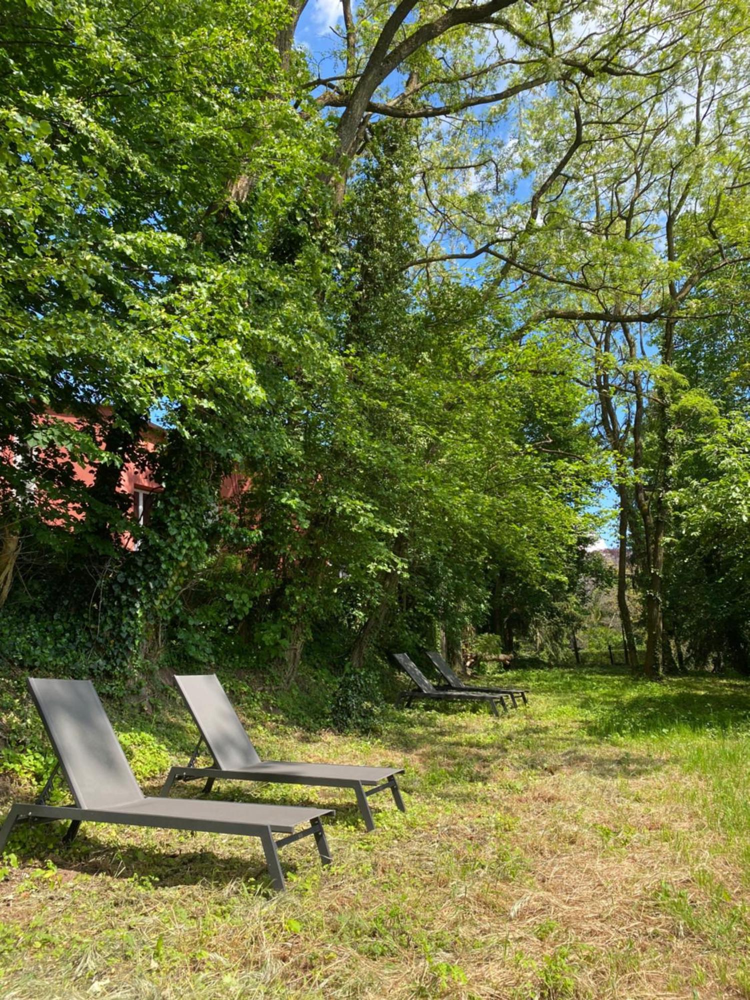 La Villa des Oiseaux - La Petite Pierre Extérieur photo