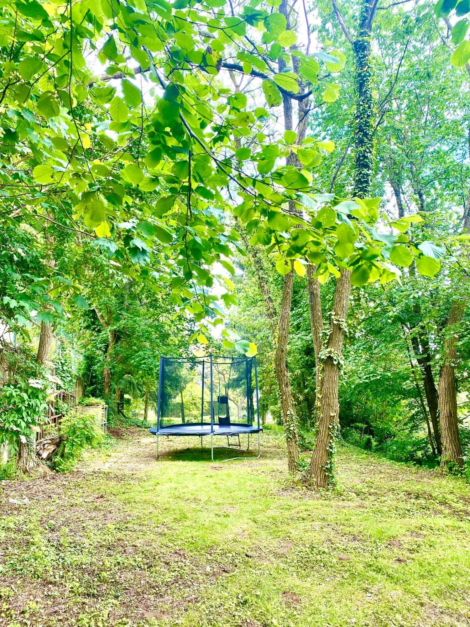 La Villa des Oiseaux - La Petite Pierre Extérieur photo
