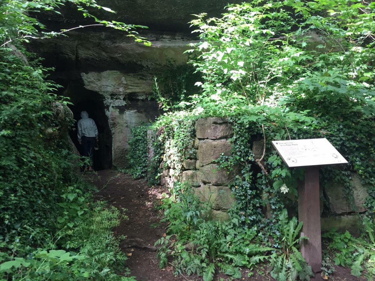 La Villa des Oiseaux - La Petite Pierre Extérieur photo