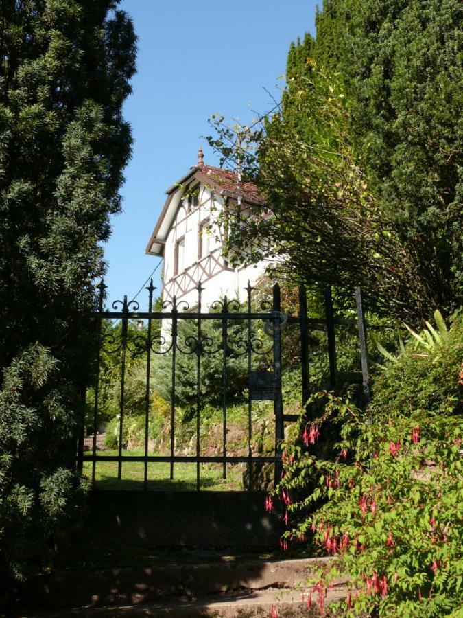 La Villa des Oiseaux - La Petite Pierre Extérieur photo